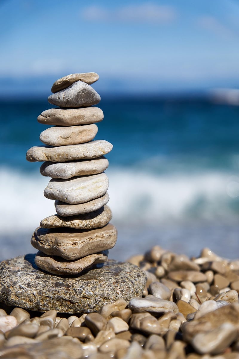 Balanced Bites